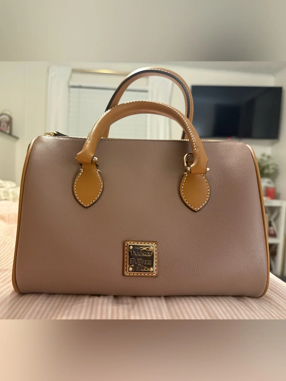 Dooney & Bourke Taupe Satchel with Tan Handles